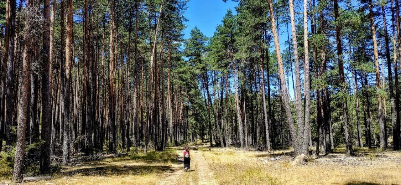 Alojamiento Rural Los Hacheros Tragacete Dış mekan fotoğraf