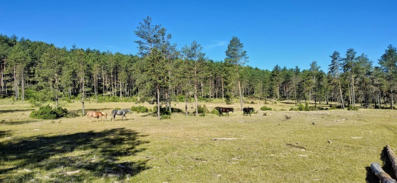 Alojamiento Rural Los Hacheros Tragacete Dış mekan fotoğraf