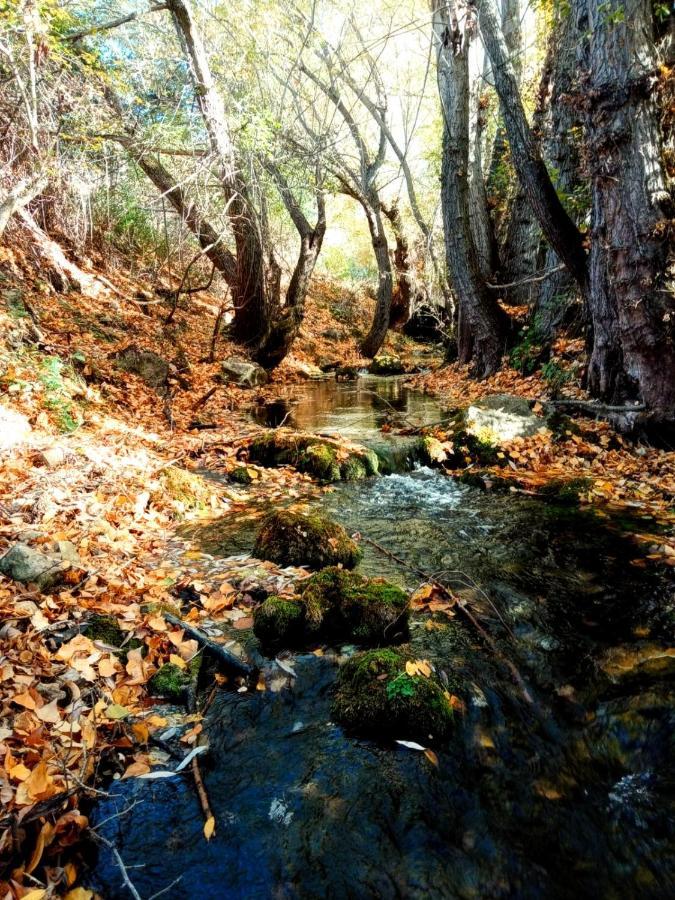 Alojamiento Rural Los Hacheros Tragacete Dış mekan fotoğraf