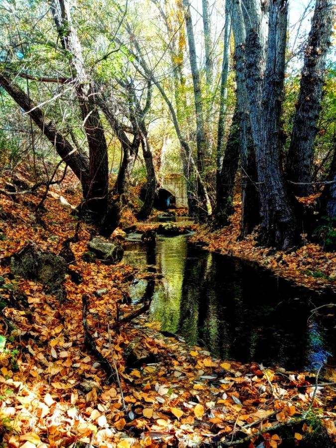 Alojamiento Rural Los Hacheros Tragacete Dış mekan fotoğraf