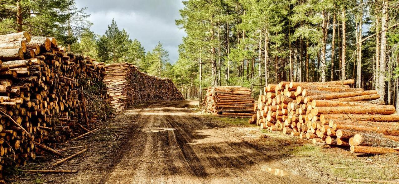 Alojamiento Rural Los Hacheros Tragacete Dış mekan fotoğraf