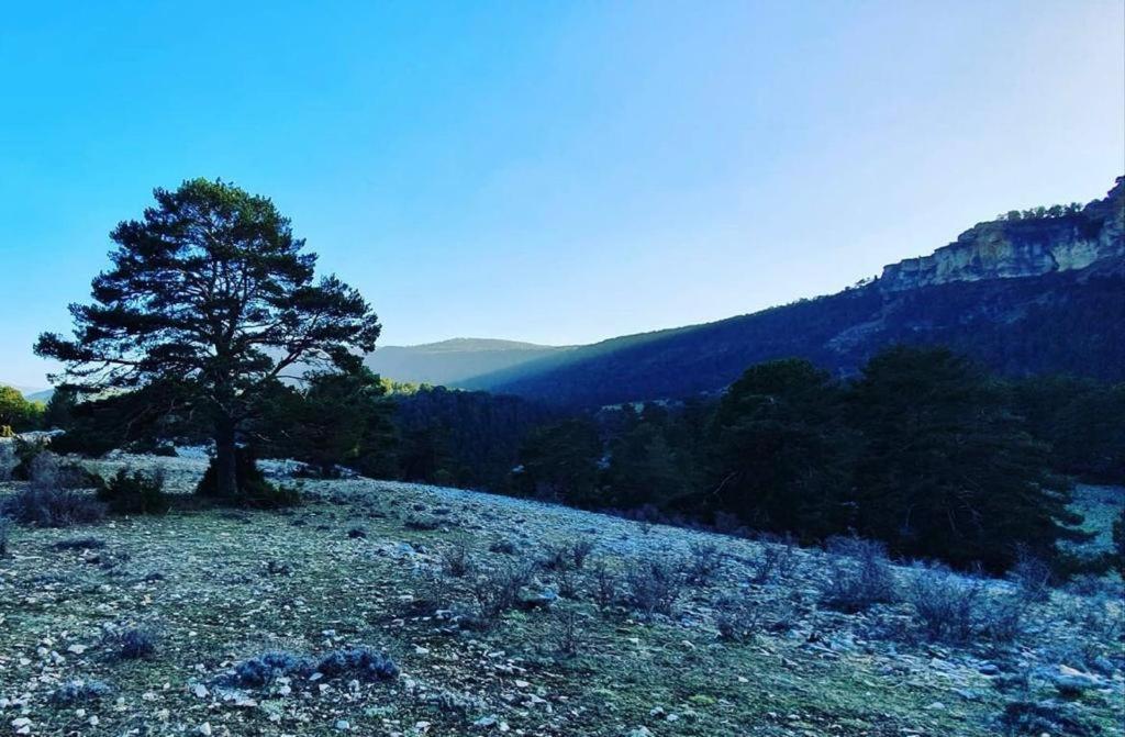 Alojamiento Rural Los Hacheros Tragacete Dış mekan fotoğraf