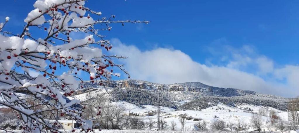 Alojamiento Rural Los Hacheros Tragacete Dış mekan fotoğraf