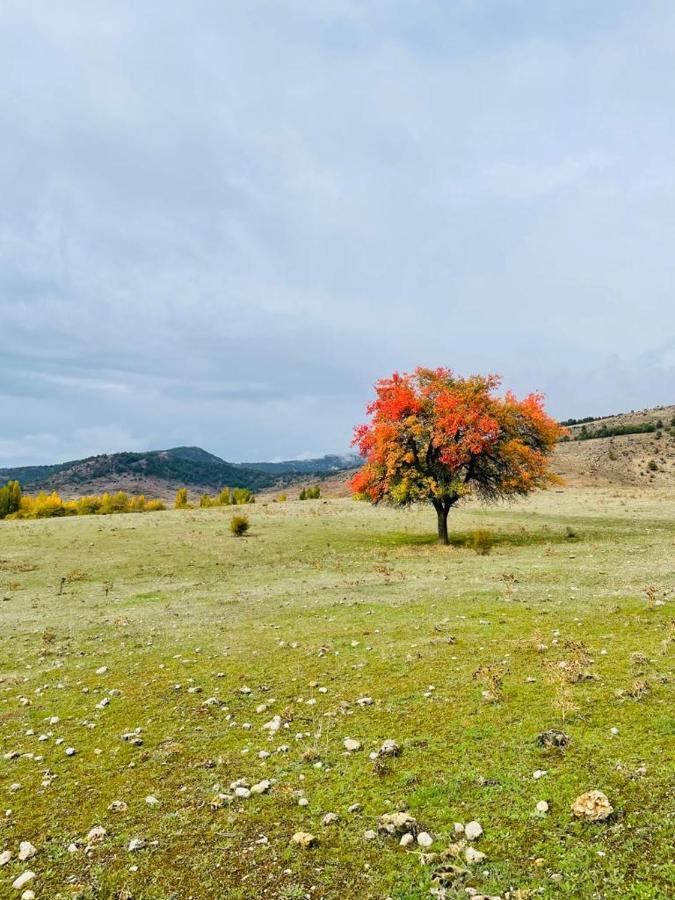 Alojamiento Rural Los Hacheros Tragacete Dış mekan fotoğraf