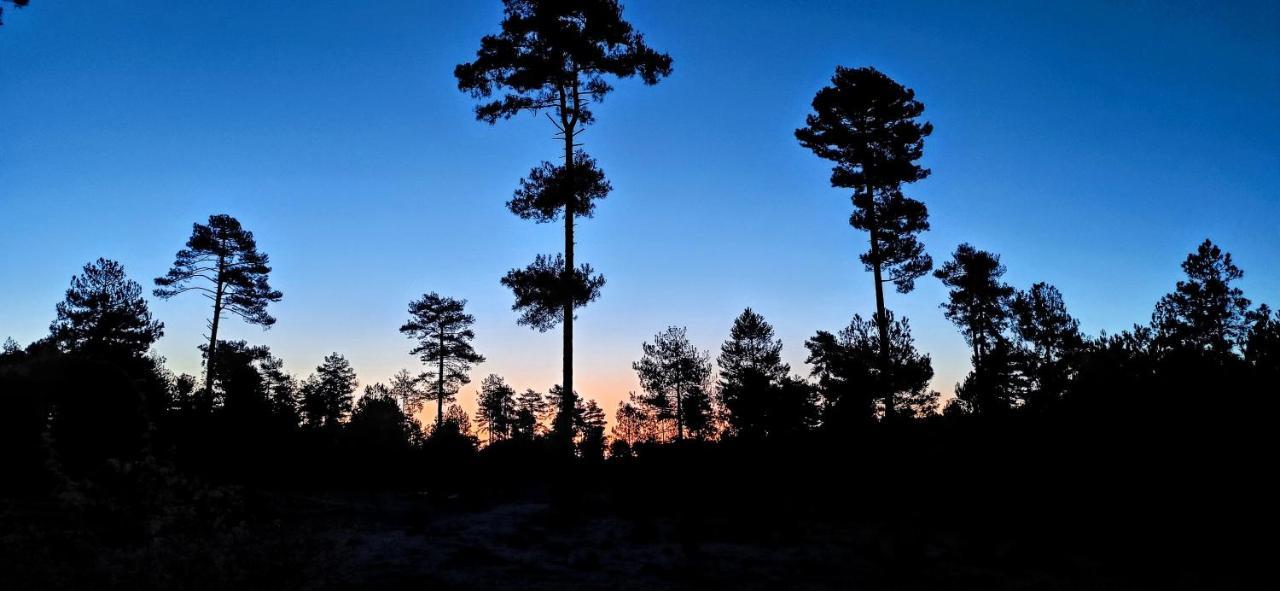 Alojamiento Rural Los Hacheros Tragacete Dış mekan fotoğraf