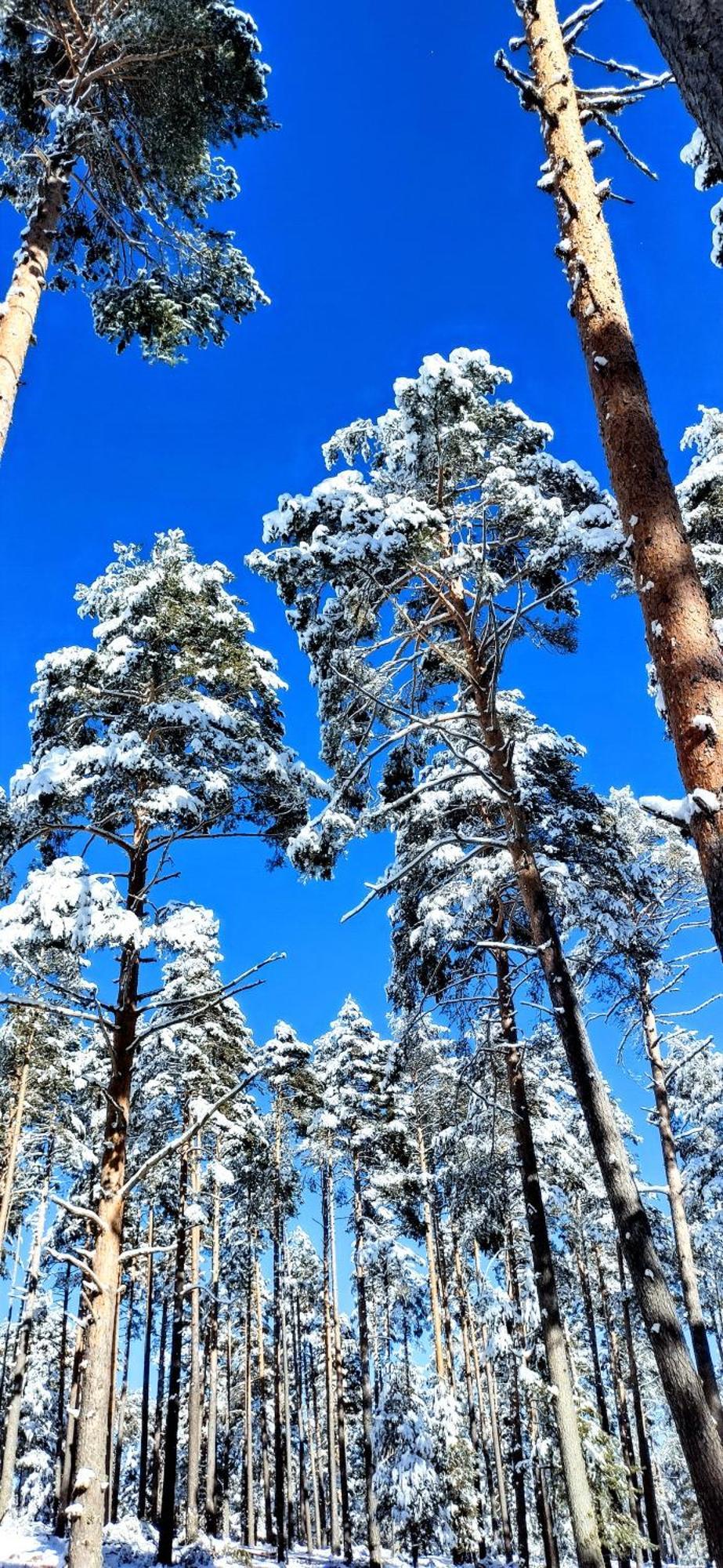 Alojamiento Rural Los Hacheros Tragacete Dış mekan fotoğraf