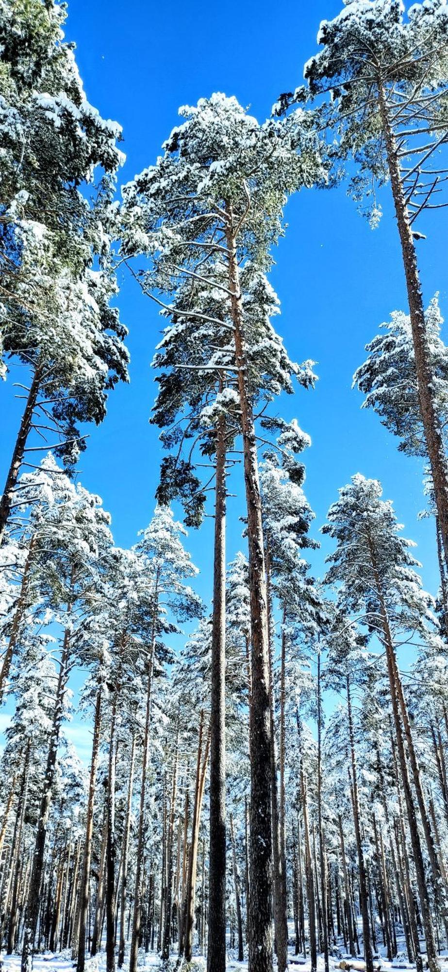 Alojamiento Rural Los Hacheros Tragacete Dış mekan fotoğraf