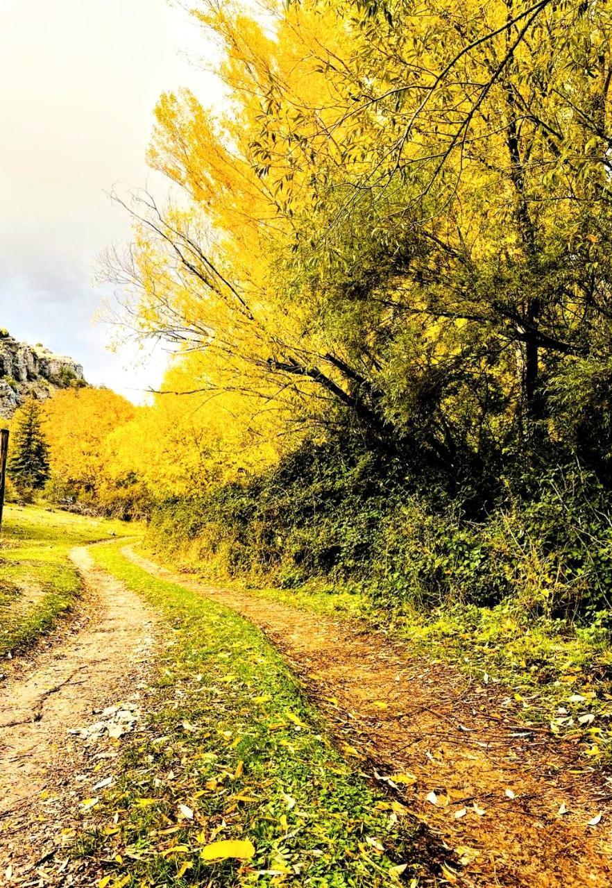 Alojamiento Rural Los Hacheros Tragacete Dış mekan fotoğraf
