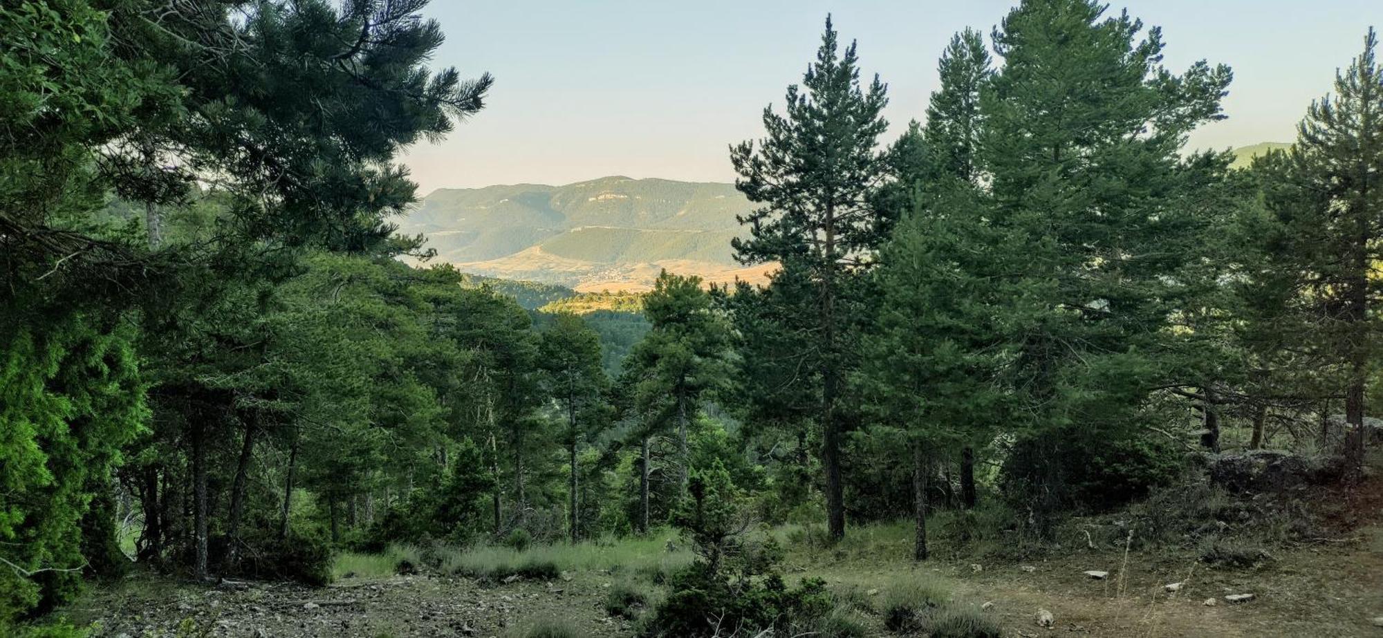 Alojamiento Rural Los Hacheros Tragacete Oda fotoğraf